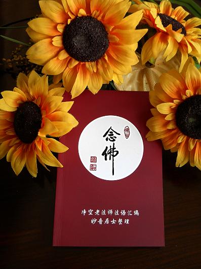 净空法师开示：没有佛法的地方，可怜！