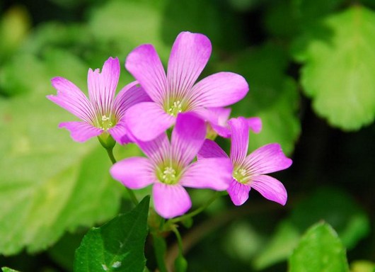 生死自在处红尘