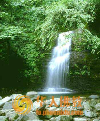 从佛经里看身体中的四大毒蛇