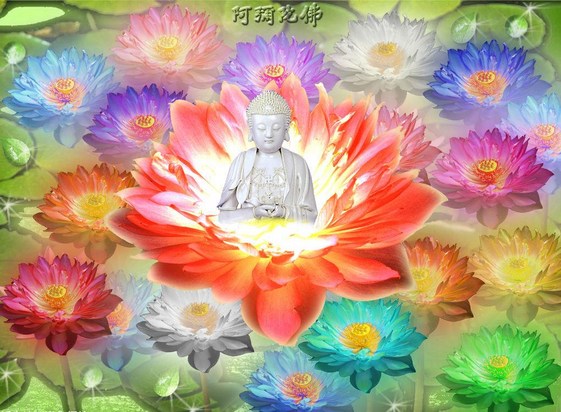 观想念佛，观之事且从缓行