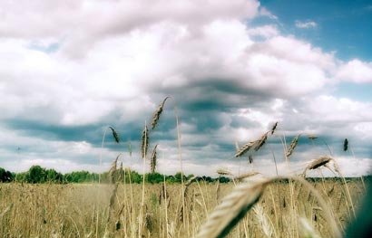 老禅师过桥_小徒弟一个动作导致人生巨变