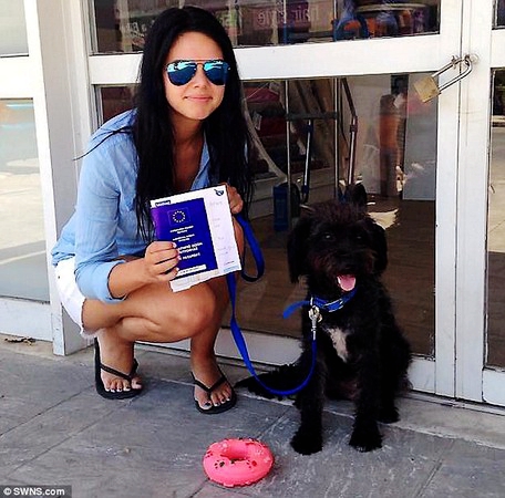 流浪犬吓走色狼 女子报恩跨国收养1.jpg