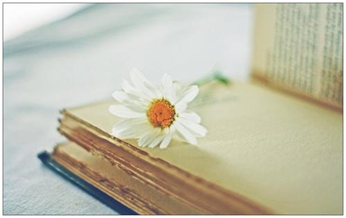 婚姻的成功取决于两点