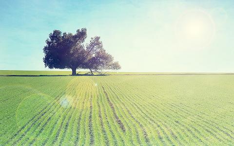 夫妻能够时时先检讨自己，坏事都能变好事