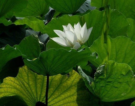 知命认命，是改命的前提