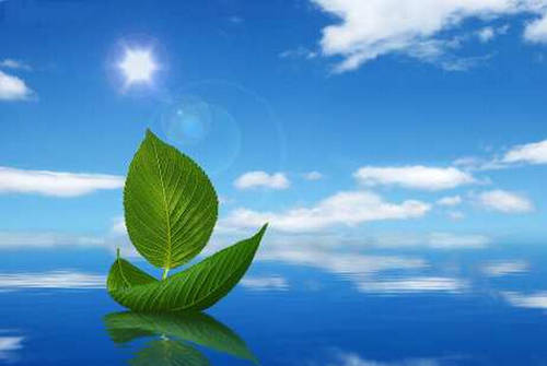 早一点认命，才可能早一点上路