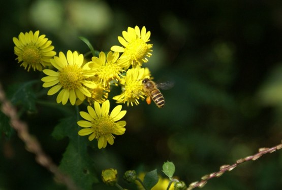 人体基因与业力信息