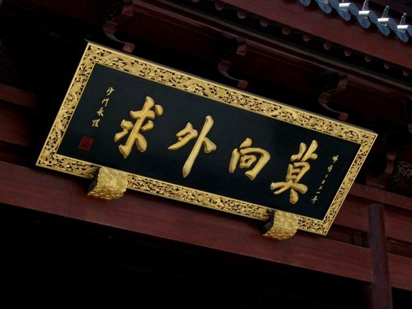 是枯的好，还是荣的好