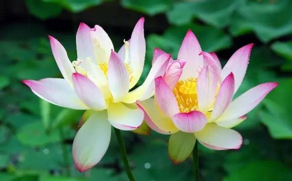 以和气迎人，以静气养身