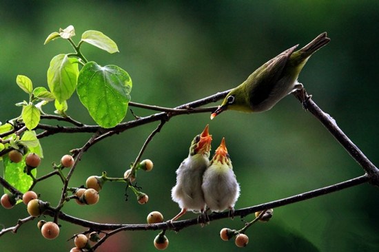 世间五德，难能可贵