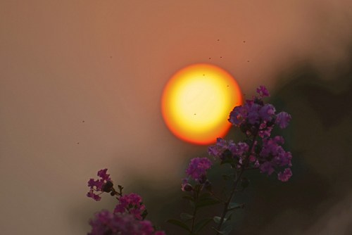 贪一时之欲而成千古恨