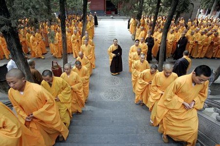 人生将何去何从