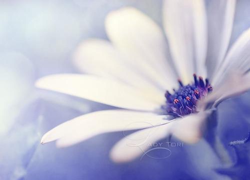 关于人生的十点见解