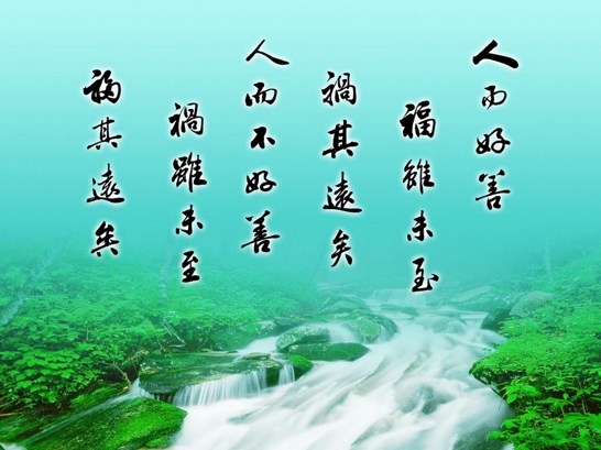 从小裁缝到大作家