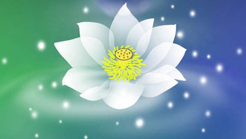 追求名利的同时，快乐只会越来越远