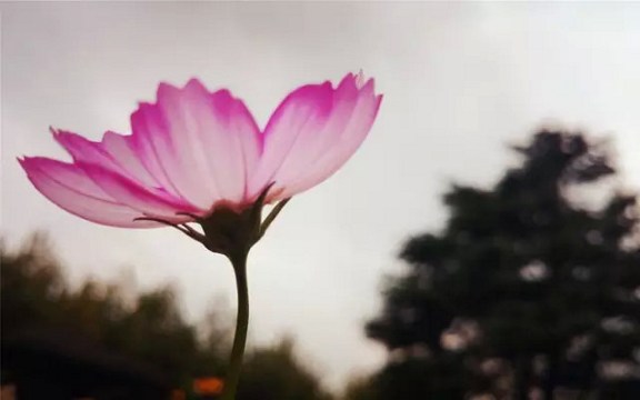 突破障碍,超越自我,舞出生命