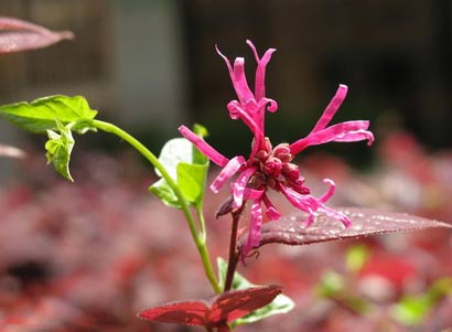 人生的十个好习惯
