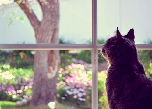 释怀，就在那么一瞬间