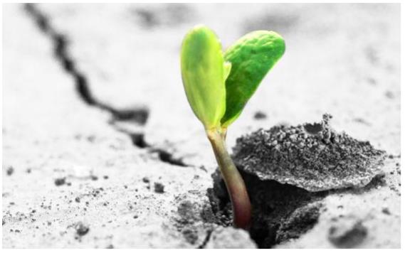 触目遇缘无障碍