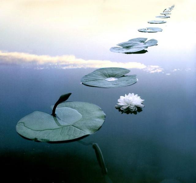 人有三个基本错误不能犯