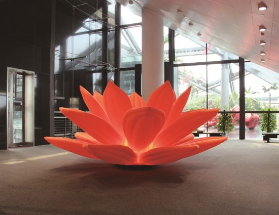 你为什么又不高兴了