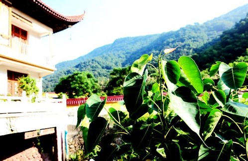 离开尘欲，求生极乐