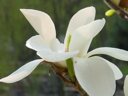 如何看一个女人的命好不好