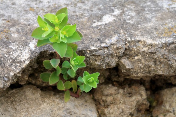 内心安详即大富之业