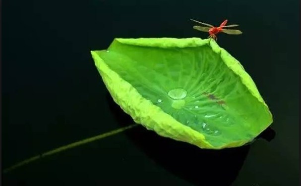 赚违背道义的钱，这个钱很难长久