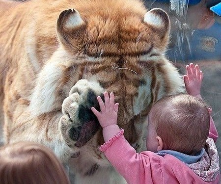 钱怎么来的，就会怎么去