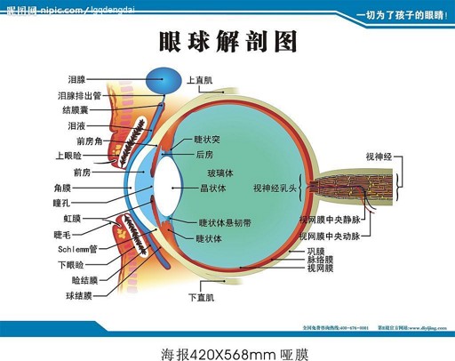 眼睛能暴露出十种病