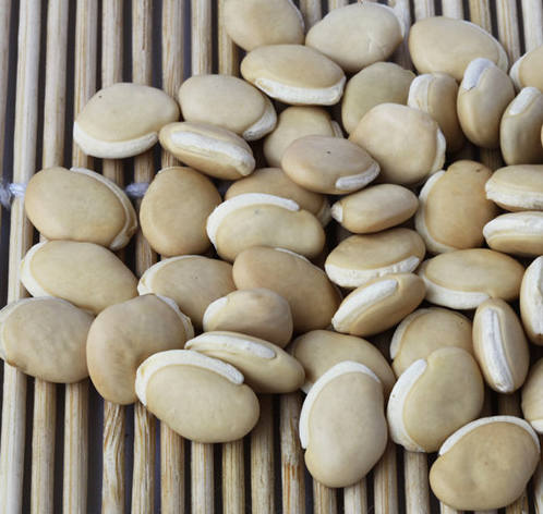 12种帮助排出湿气的食物