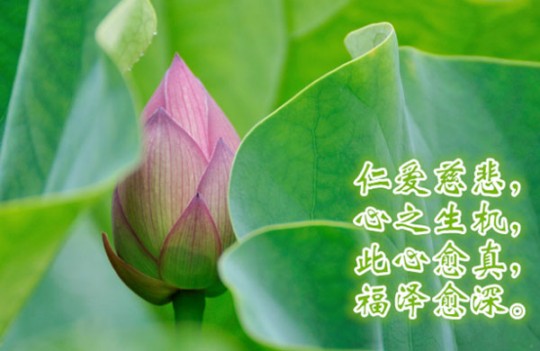 一个卖水产老板的忏悔