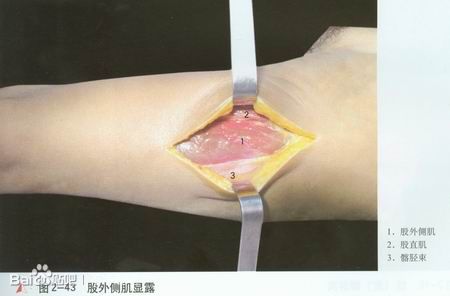 邪淫对身体和事业的伤害