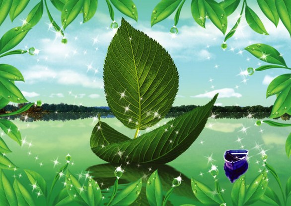 老实念佛，渐离生死