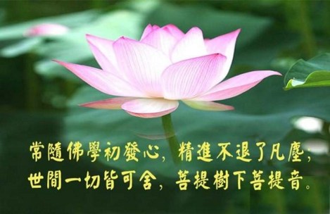 人生是果报跟造业交互的作用