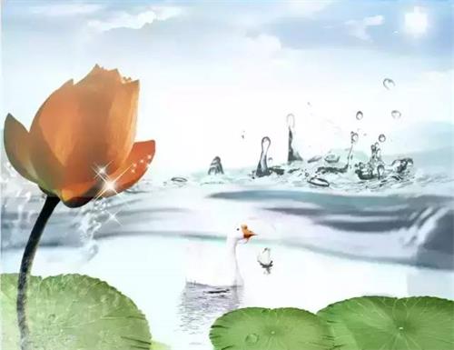 心灵的品级，决定人的一生