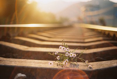 暇满人身之八有暇