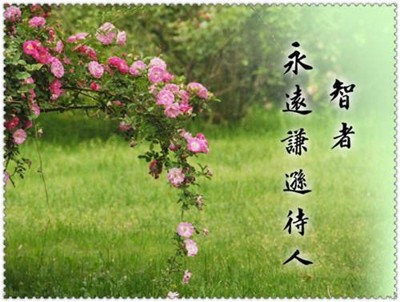 生活，就是体谅和理解