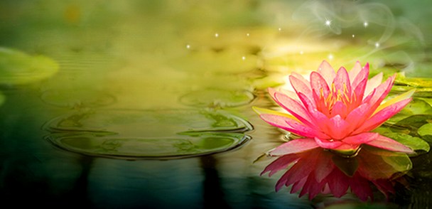 反闻闻自性，性成无上道