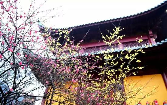 不论做事或修行，四心不可缺少