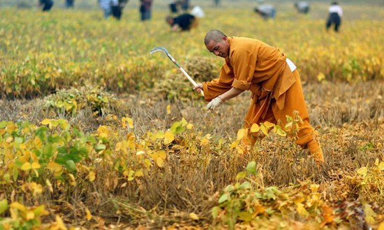 培养修行习惯的重要性