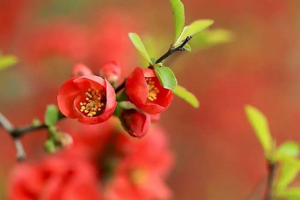 修行人要善用你的第六意识