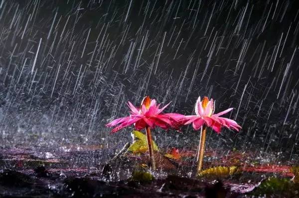 修行前应当先修忏悔之法