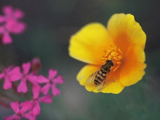 有十种方法能快速得福
