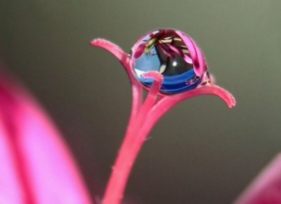 身虽不出家，但心要出家