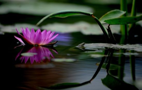 每天醒后用十一问来反省自己