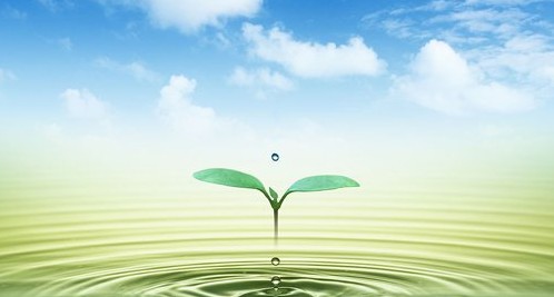 修行的成就离不开善知识的摄受