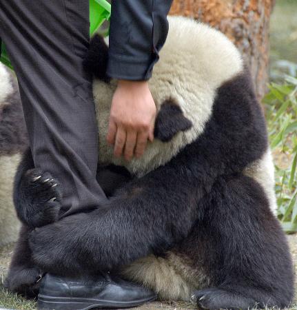 修行人怎样面对灾难