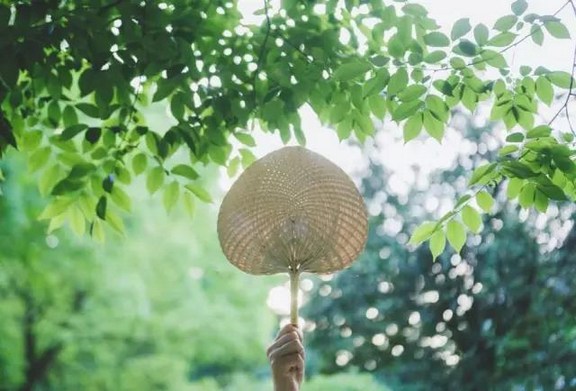 这就是佛教之悲哀啊